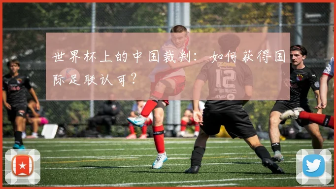 世界杯上的中国裁判：如何获得国际足联认可？